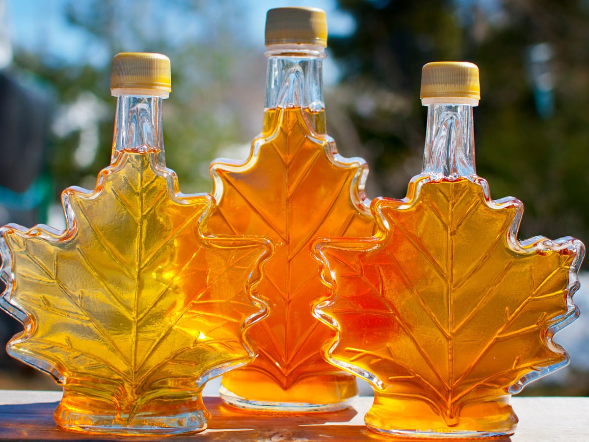 Sappy ending: Canada digs deep into strategic reserves to cover maple syrup  shortage | Canada | The Guardian