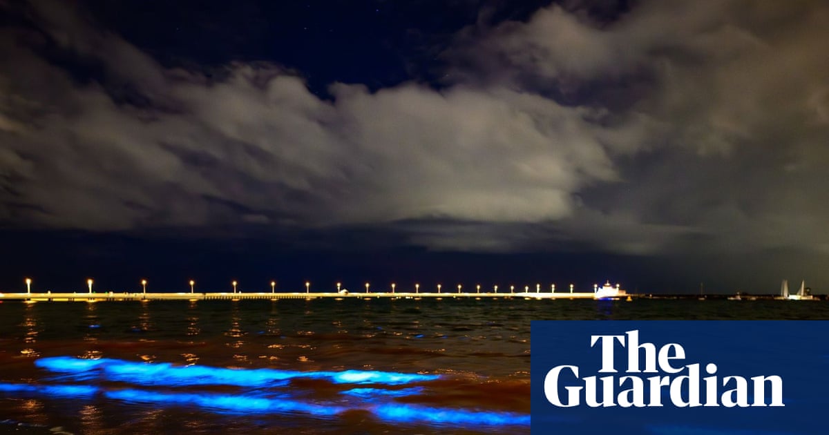 Cosmic' bioluminescent algae lights up Melbourne's St Kilda beach