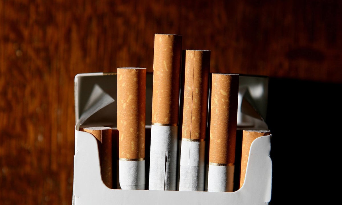 Tobacco shares go up in smoke amid US crackdown plan, Tobacco industry