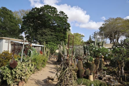 The gardens of the kibbutz Nir Oz