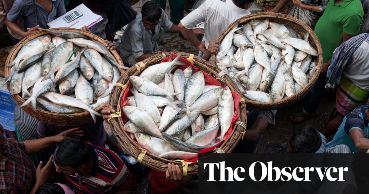 how warming seas are