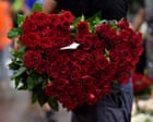 Il vero prezzo delle rose rosse a San Valentino