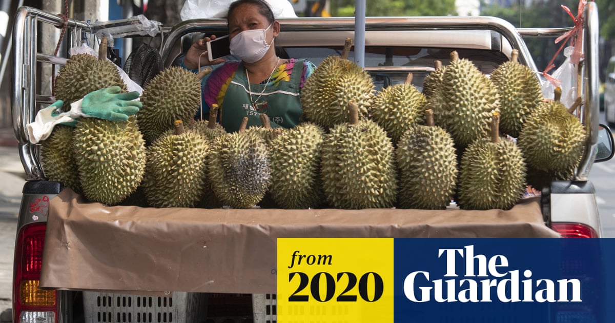 smelly durian fruit forces evacuation of bavarian post office germany the guardian