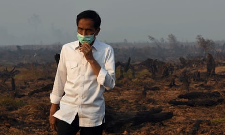 Indonesia’s president Joko Widodo inspects a peatland clearing that was engulfed by fire during a visit to Southern Kalimantan province on Borneo island in September.