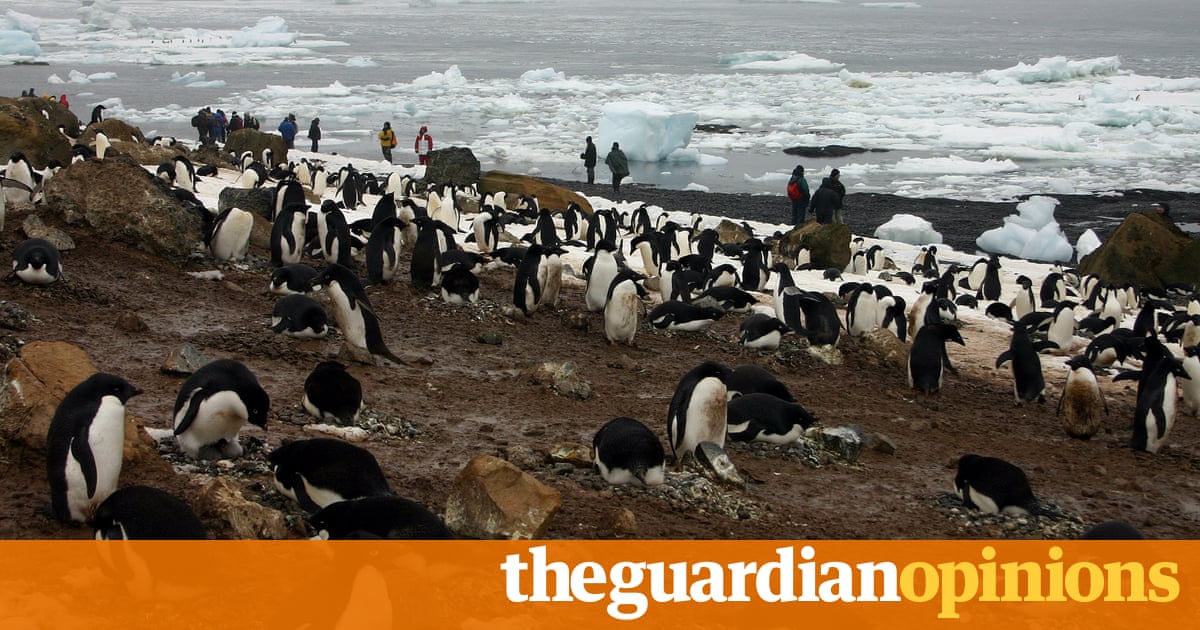 Penguins starving to death is a sign that something’s very wrong in the Antarctic | John Sauven