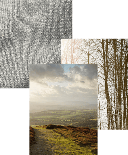 Composite of autumnal tones: woollen jumper, view through trees in wood, view over green fields.
