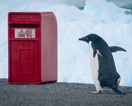 A penguin near the postbox.