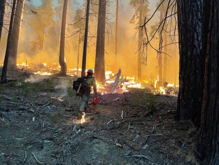 firefighter walks through woods with fire ahead of them