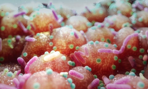 Ilustración de bacterias resistentes a los antibióticos