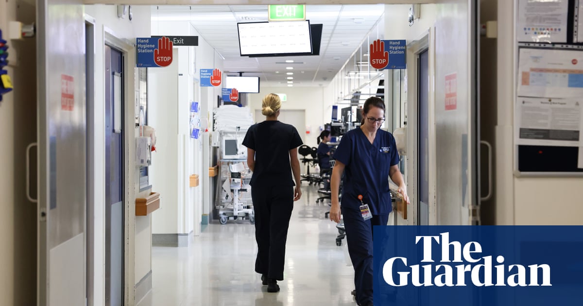 ‘Placement poverty’ to be tackled in Labor budget with new payments for student teachers and nurses | Australian politics