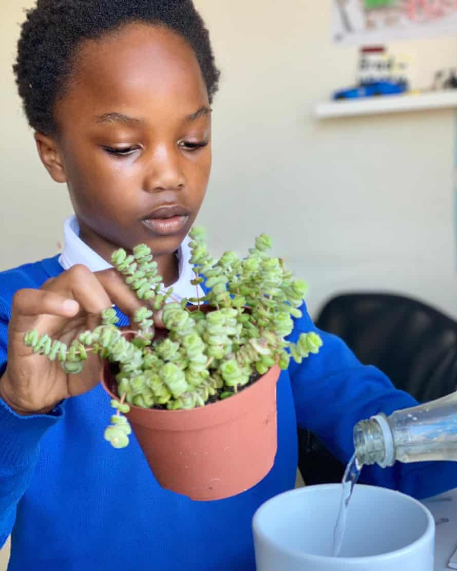 Ebuka watering a plant.