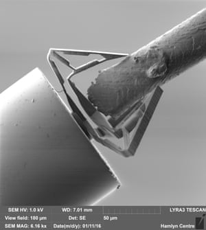 the nanoscale surgical tool