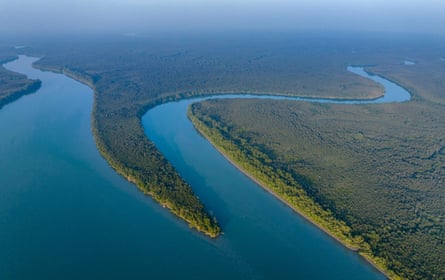 An aerial view of the Sundarbans, showing a rivers running through pristine forest
