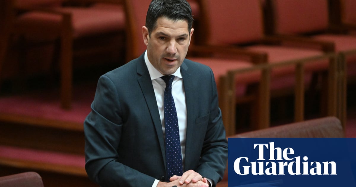 Protesters against South Australian council’s ‘Big Brother’ tech invoke Liberal Alex Antic’s video