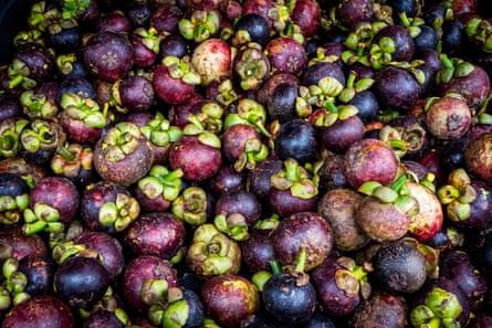 Fresh mangosteen.