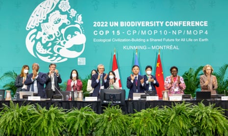 Adoption of the Kunming-Montreal framework, UN convention on biodiversity Cop15, Montreal, Canada, 19 December 2022