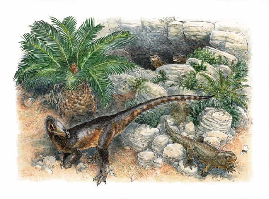 Artist’s depiction of how the dinosaur Pendraig milnerae – meaning chief dragon – might have looked.