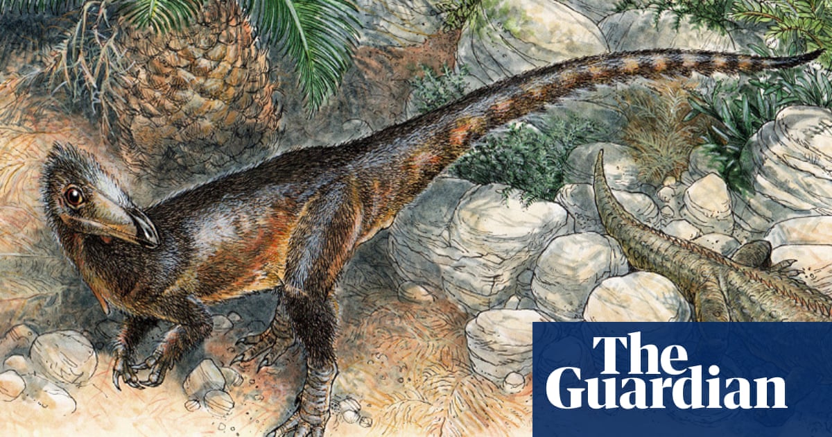 Scientists discover Welsh ‘dragon’ dinosaur – the size of a chicken