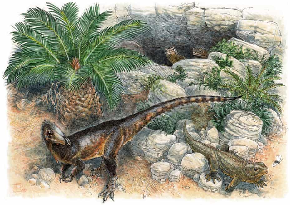 Artist’s depiction of how the dinosaur Pendraig milnerae – meaning chief dragon – might have looked