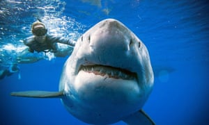 best photographs of the