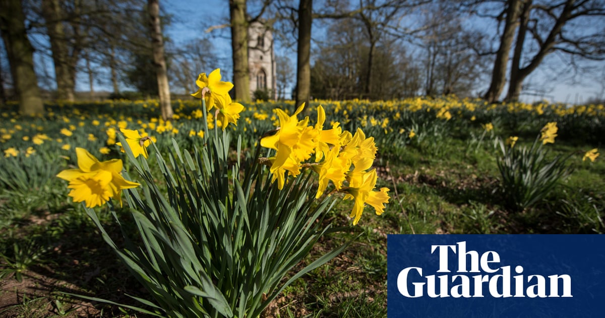 10 of the best places in Britain to see spring flowers: readers’ tips
