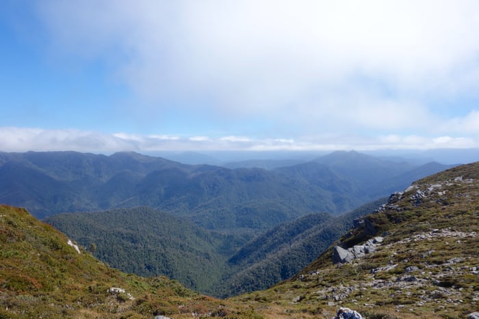 Scarica Gratis Images Hiking Tasmania S Beautiful South Coast Track And How To Survive le plus cool par