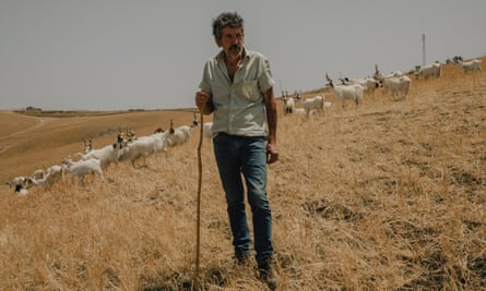 Luca Cammarata with his goats near his farm
