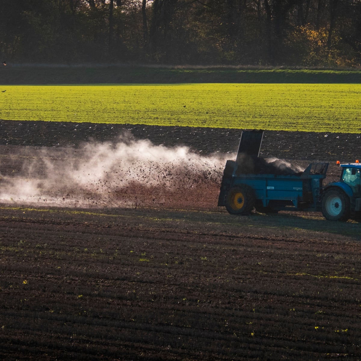 Muck-spreading could be banned to reduce air pollution | Air pollution |  The Guardian