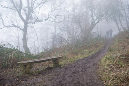 Two walkers on a path through trees on a foggy day, with a bench in the foreground.