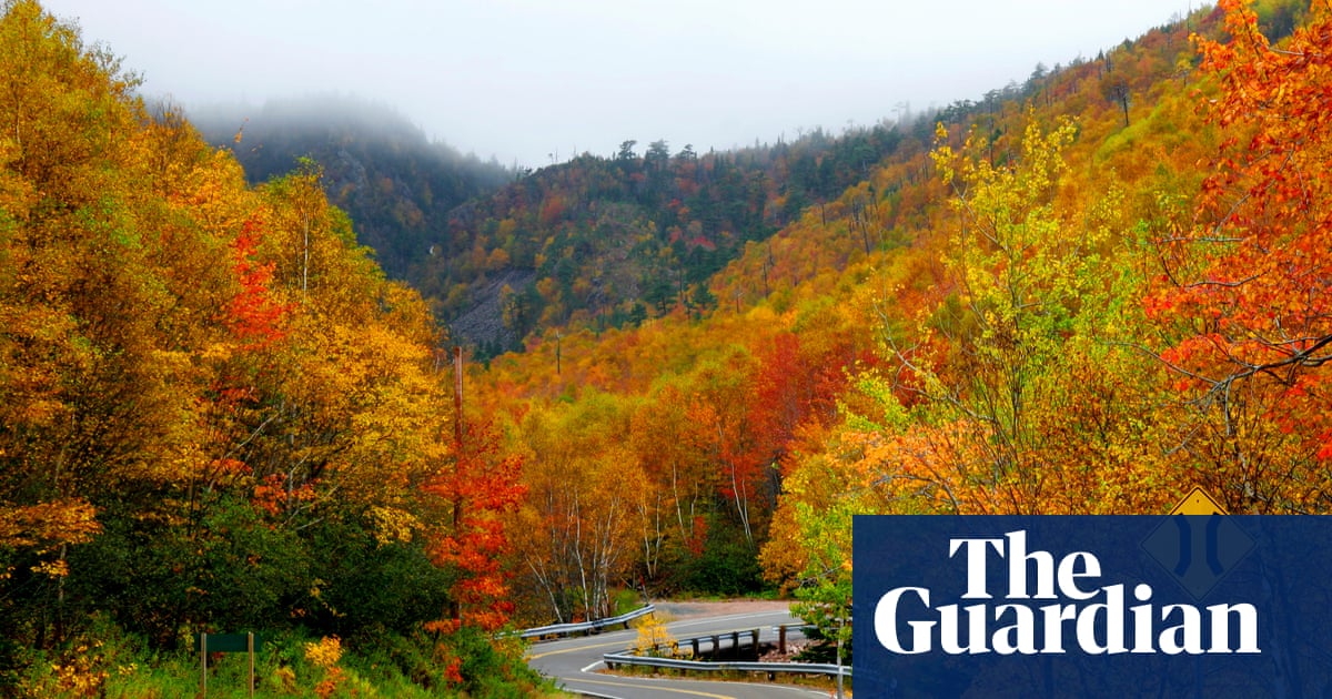 Canadian man who hiked in woods in defiance of ban has case heard in court