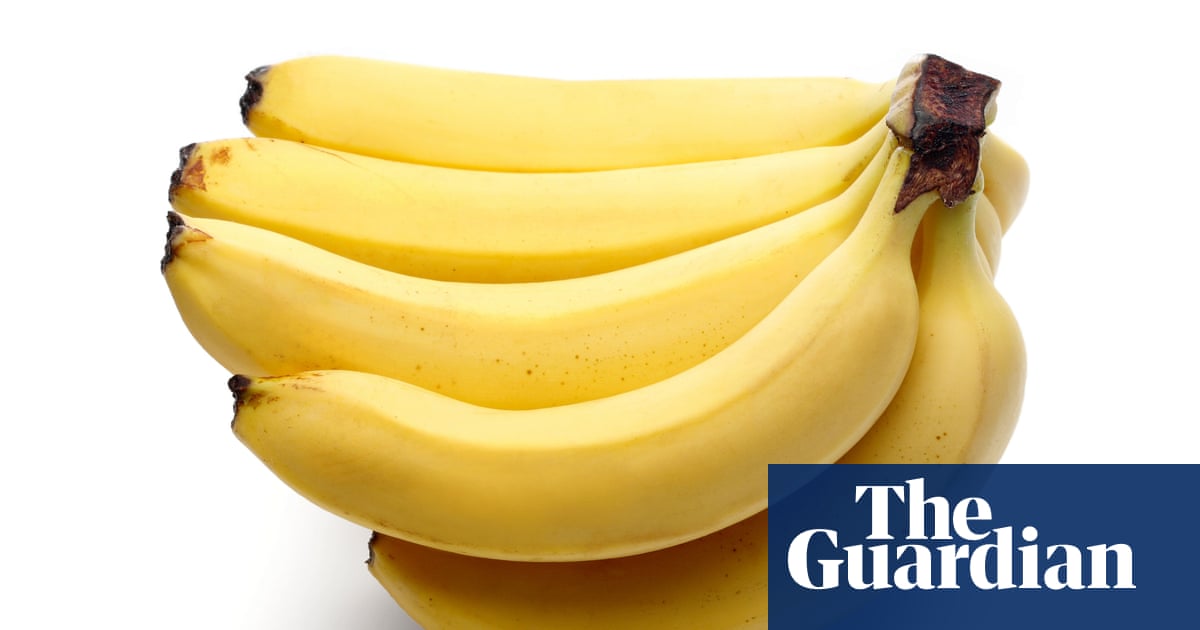 www.theguardian.com