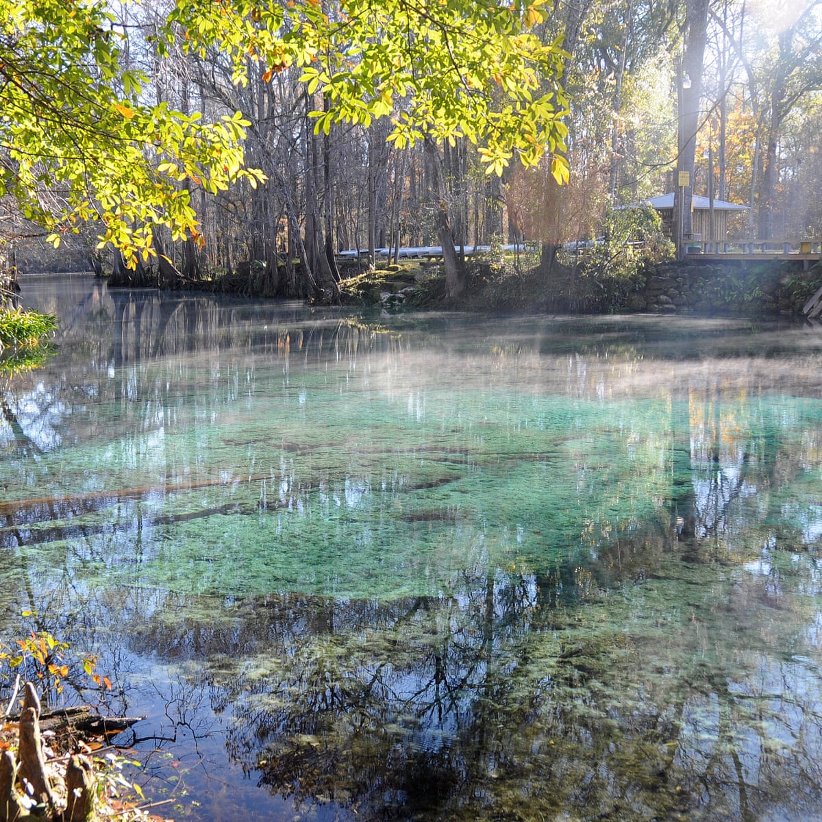 Freshwater Swimming In Florida S Springs Travel The Guardian