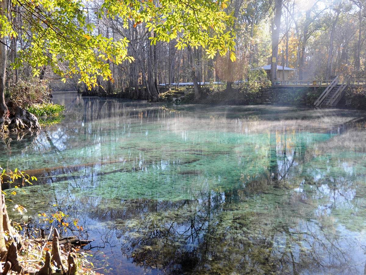Freshwater Swimming In Florida S Springs Travel The Guardian