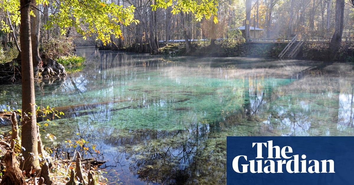 Nestlé plan to take 1.1m gallons of water a day from natural springs sparks outcry - The Guardian
