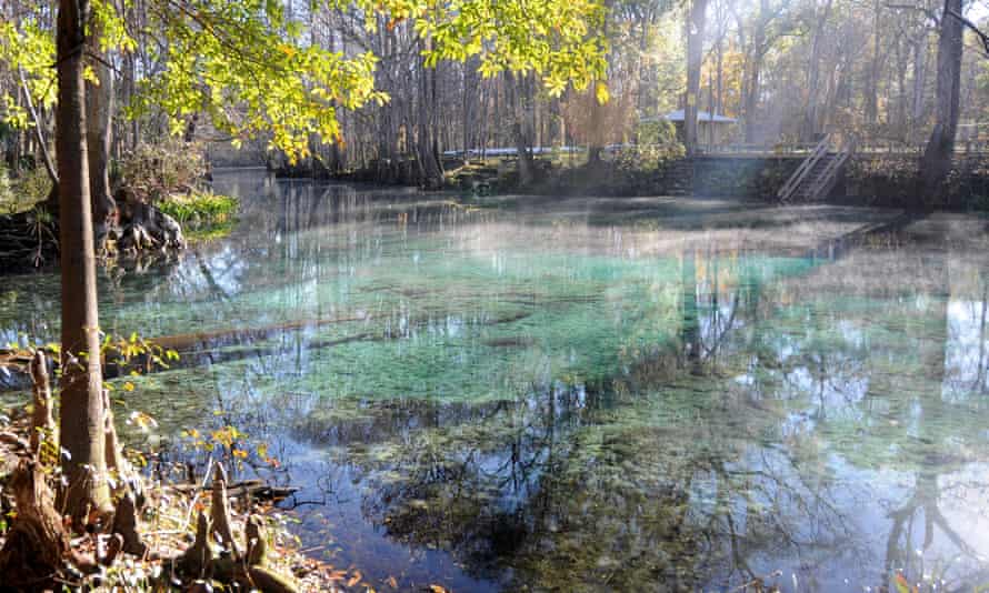 Ginnie Spring açıklarında sabah yükselen sis.