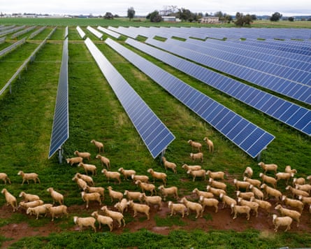 Condensation from star panels waters drought-stricken grazing onshore adjacent Dubbo, New South Wales.