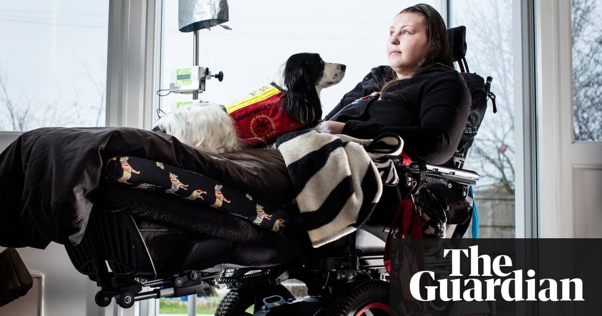 buy The art of museum exhibitions : how story and imagination create aesthetic experiences 2014