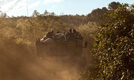 Coffee workers are transported to a plantation in Santo Antônio do Amparo, Minas Gerais, in July 2015.