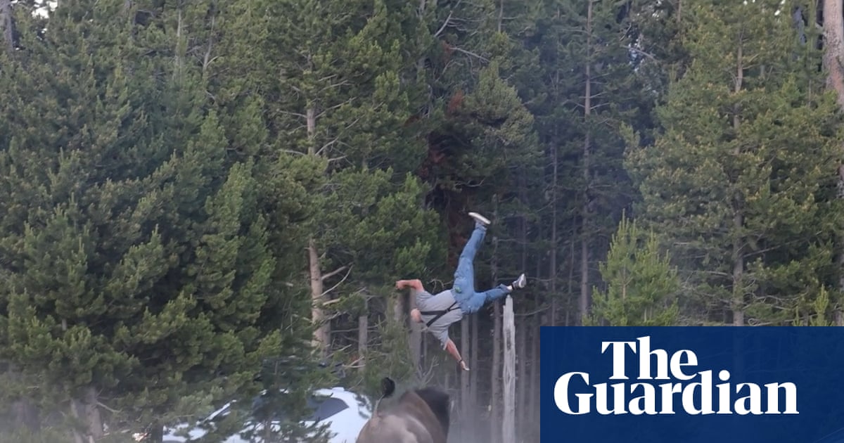 Bison tosses man into the air in Yellowstone national park – video