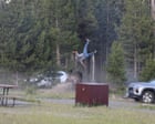 Yellowstone tourist tossed 8ft in air by bison says attack could have been worse - image 2