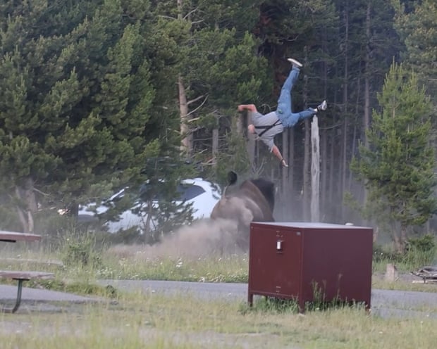 Screenshot from video of man hit by bison
