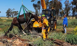 Victorian Farmer Dies After Being Trapped In Hay Baler For 36 Hours Rural Australia The Guardian Victorian Farmer Dies After Being Trapped In Hay Baler For 36 Hours Rural Australia The Guardian