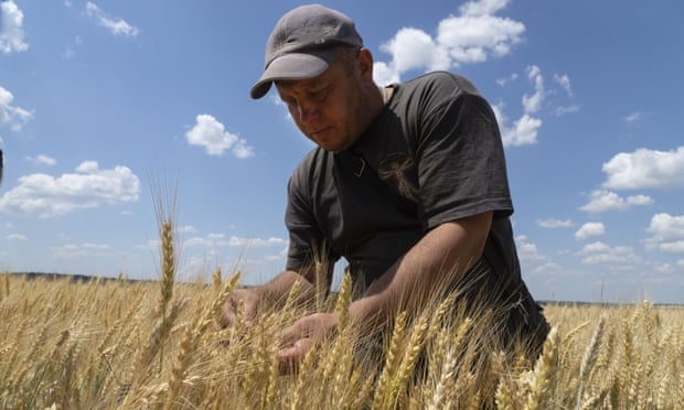 A wheat farmer in the Donetsk region, Ukraine, 21 June 2022.