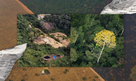 Composite photographs of rainforest superimposed on land cleared for agriculture