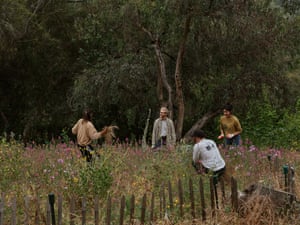 Smiling people plant plants in a lush park