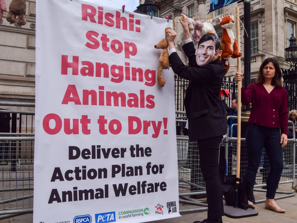 Animal Rights Movement Lab Animal Rights Signs