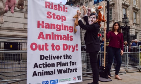 An activist dressed as Rishi Sunak hangs toy animals on a clothes line next to a banner stating "Rishi, Stop Hanging Animals Out to Dry!" during the protest outside Downing Street.