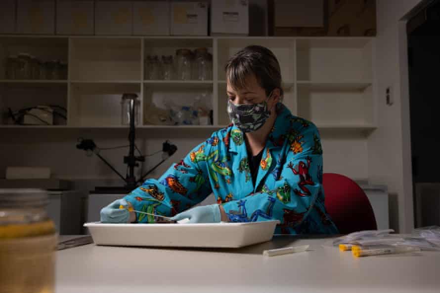 Rowley at work in her lab