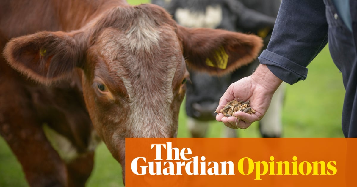 British farmers are not the enemy in the battle against the climate crisis - The Guardian
