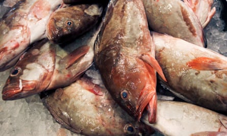 New York fish wholesaler